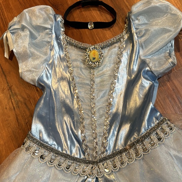 Cinderella Dress - Picture 4 of 7